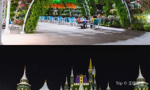 Dubai Miracle Garden