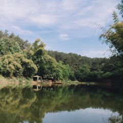 荖猎户·中华原烹雅宴艺术餐厅 User Photo