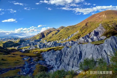 Moshi Park Scenic Area