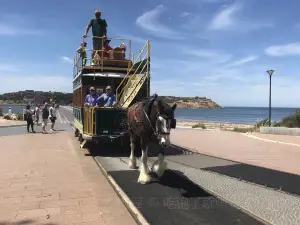 花崗岩島