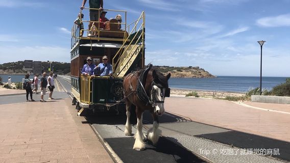 Victor Harbor