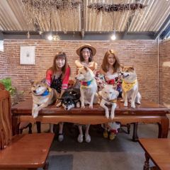 Inu Cafe User Photo