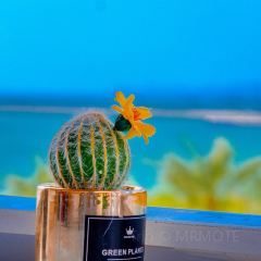Papa BeachPapa Beach張用戶圖片
