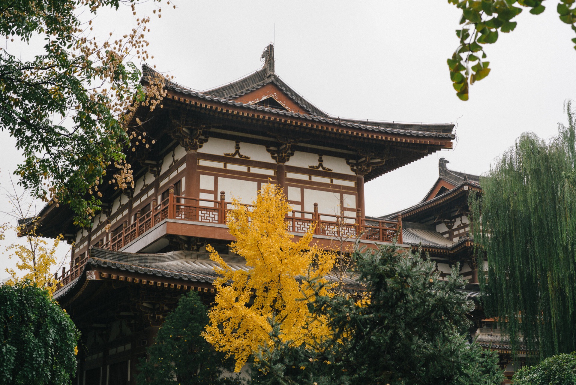 青龍寺景點評價 青龍寺門票 青龍寺優惠 青龍寺交通 地址 開放時間 青龍寺附近景點 酒店及美食 Trip Com 青龍寺景點評價 青龍寺門票 青龍寺優惠 青龍寺交通 地址 開放時間 青龍寺附近景點 酒店及美食 Trip Com