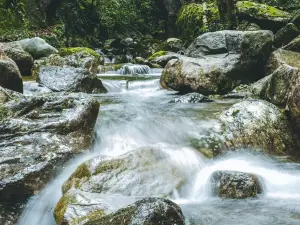 Wuyanling Nature Reserve