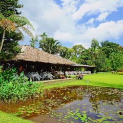 Gardenia Restaurant User Photo