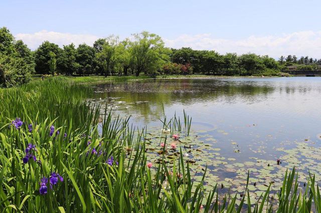 富山県中央植物園attractions 富山travel Review Travel Guide Trip Com 富山県中央植物園attractions 富山travel Review Travel Guide Trip Com