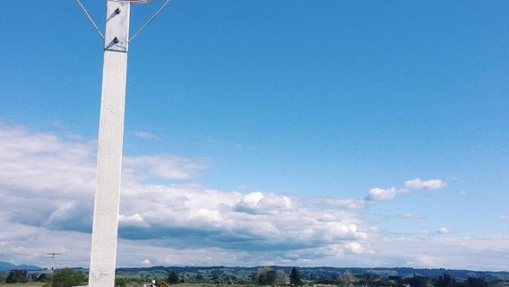 Moturoa / Rabbit Island