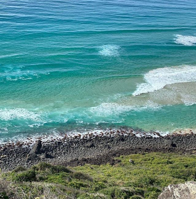 Burleigh Head National Park