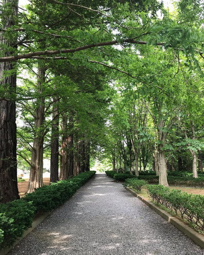 筑波実験植物園 つくば の旅行レビュー Trip Comトラベルガイド