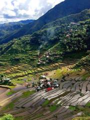 Ruộng bậc thang Banaue