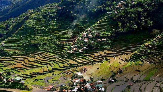 Hungduan Rice Terraces