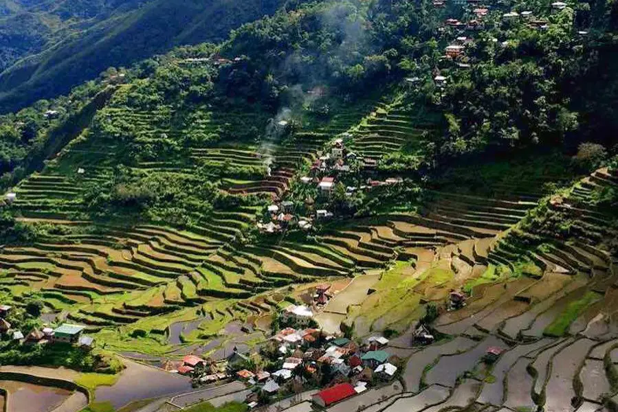 Reisterrassen von Banaue