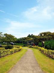 Jeju herb garden