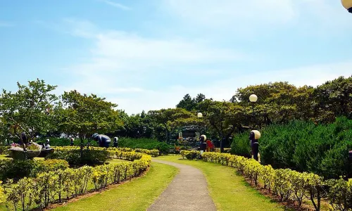 Jeju herb garden