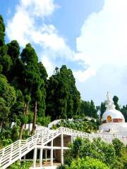 Peace Pagoda, Darjeeling