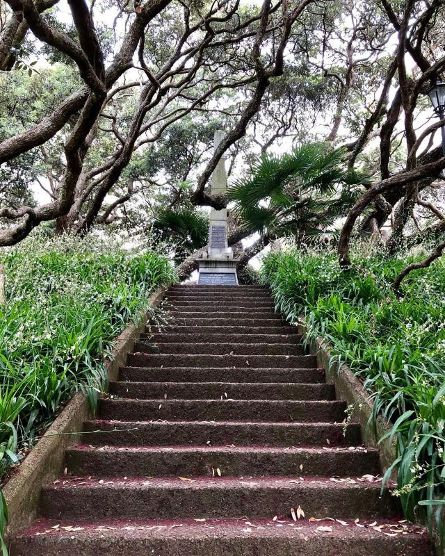 Emily Place Reserve
