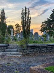 Кладбище Окленд