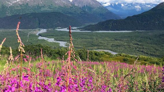 Exit Glacier