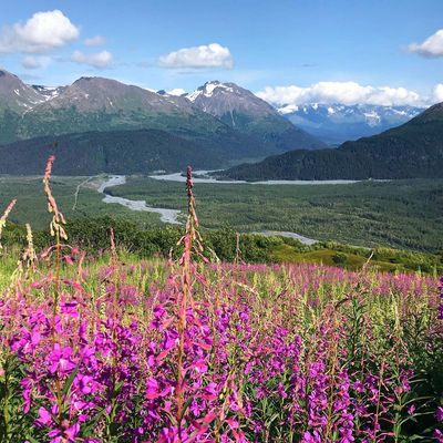 Exit Glacier