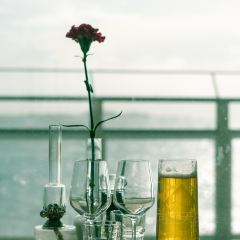 Tullhuset User Photo