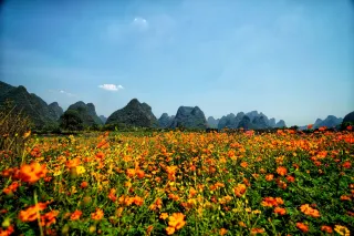   ChinaTravel 中國觀光景點