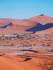 Deadvlei