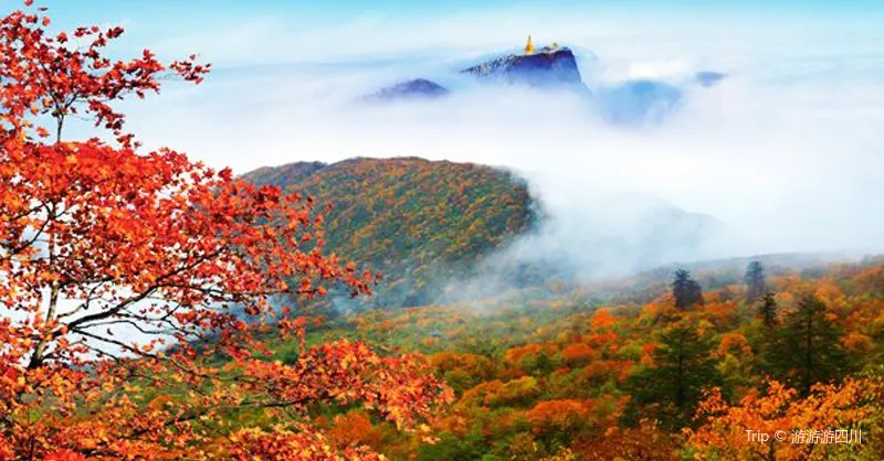 Fall Viewing Attractions