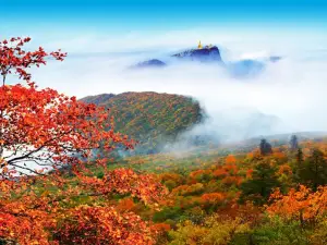 어메이산의 인기 가을 경치
