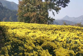 舌尖上的中国毛豆腐拍摄点 User Photo