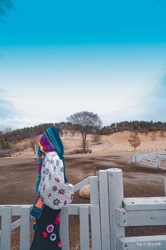 이카호 그린 목장