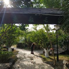 JIN PAI WAN XIAO YU CUN User Photo