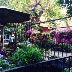 Ristorante Mimosa Pizzeria User Photo