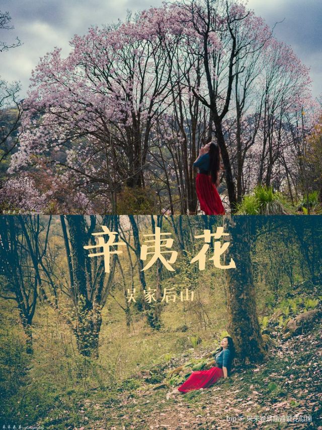 Wujia Houshan Attractions Mianyang Travel Review Travel Guide Trip Com