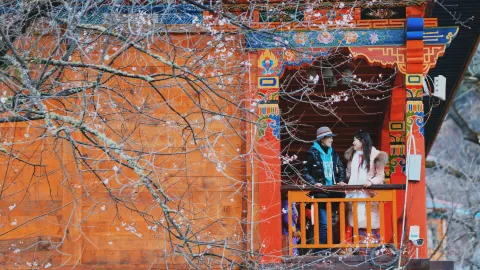 Bomi Peach Blossom Valley attraction in Bome