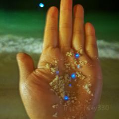 On The Rocks 여행 사진