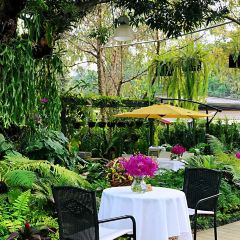 L'Amour cafe User Photo