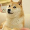 user-icon