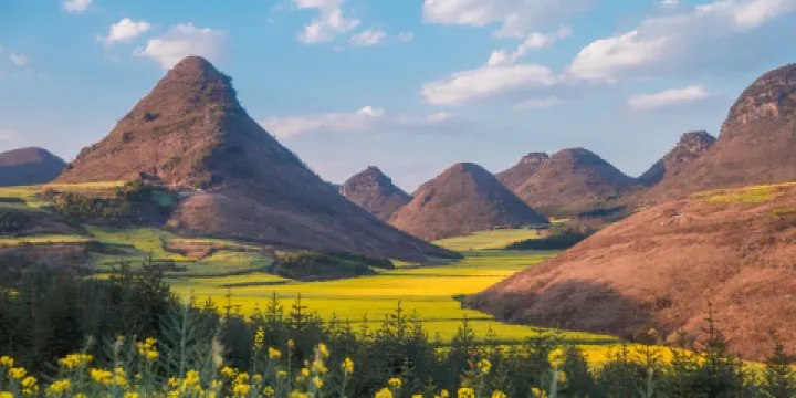 羅平油菜花景區