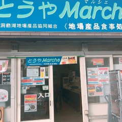 Toya Marche User Photo