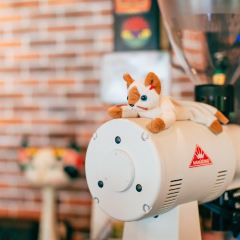 The Kittens Koffie Arts 'n Eats 여행 사진