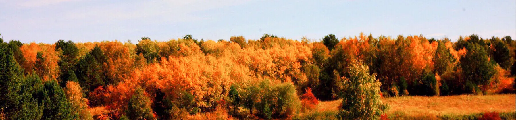 Paysages d’automne