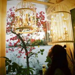 Puyan·Sweet magpie Dream manor User Photo