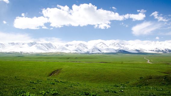 Nalati Sky Grassland