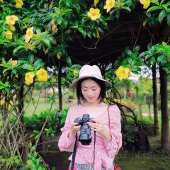 Gardenia Restaurant User Photo