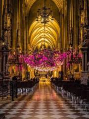 Kathedraal van St. Stephen's (Stephansdom)