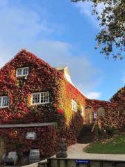 Stonyridge Vineyard