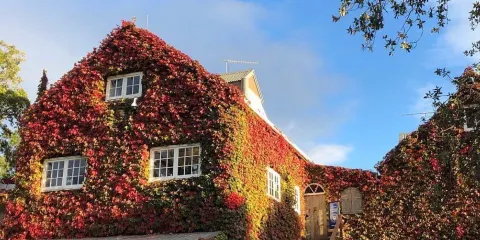 石嶺葡萄園酒莊