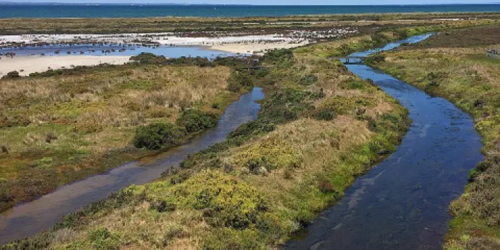 庫克角濱海公園