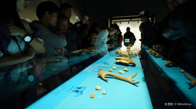 長沙+湖南博物院+嶽麓山+愛晚亭+橘子洲+五一廣場一日遊